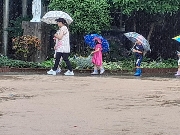 6月の園だより