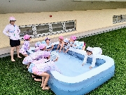 6月の園だより